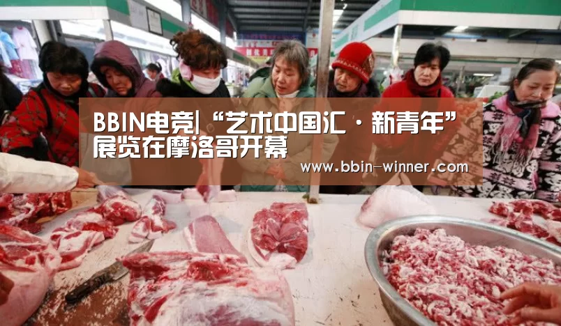 BBIN篮球