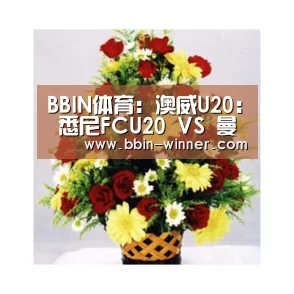 BBIN电竞