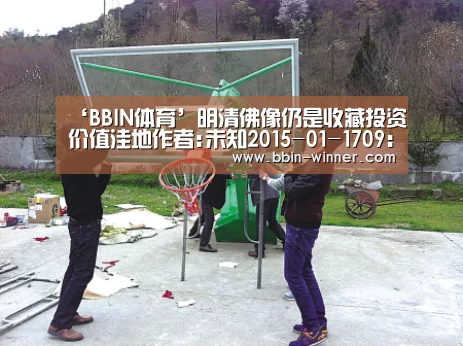 BBIN足球