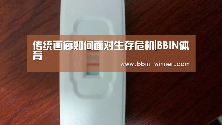 传统画廊如何面对生存危机|BBIN体育(图1) BBIN篮球