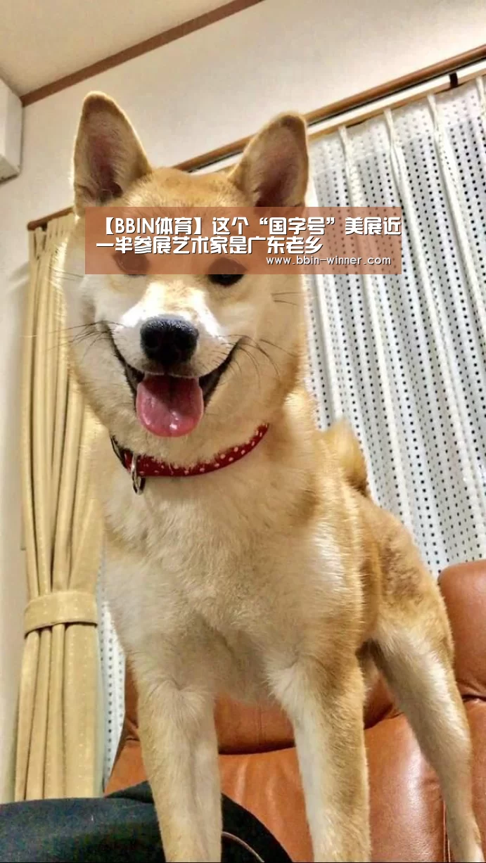 BBIN篮球
